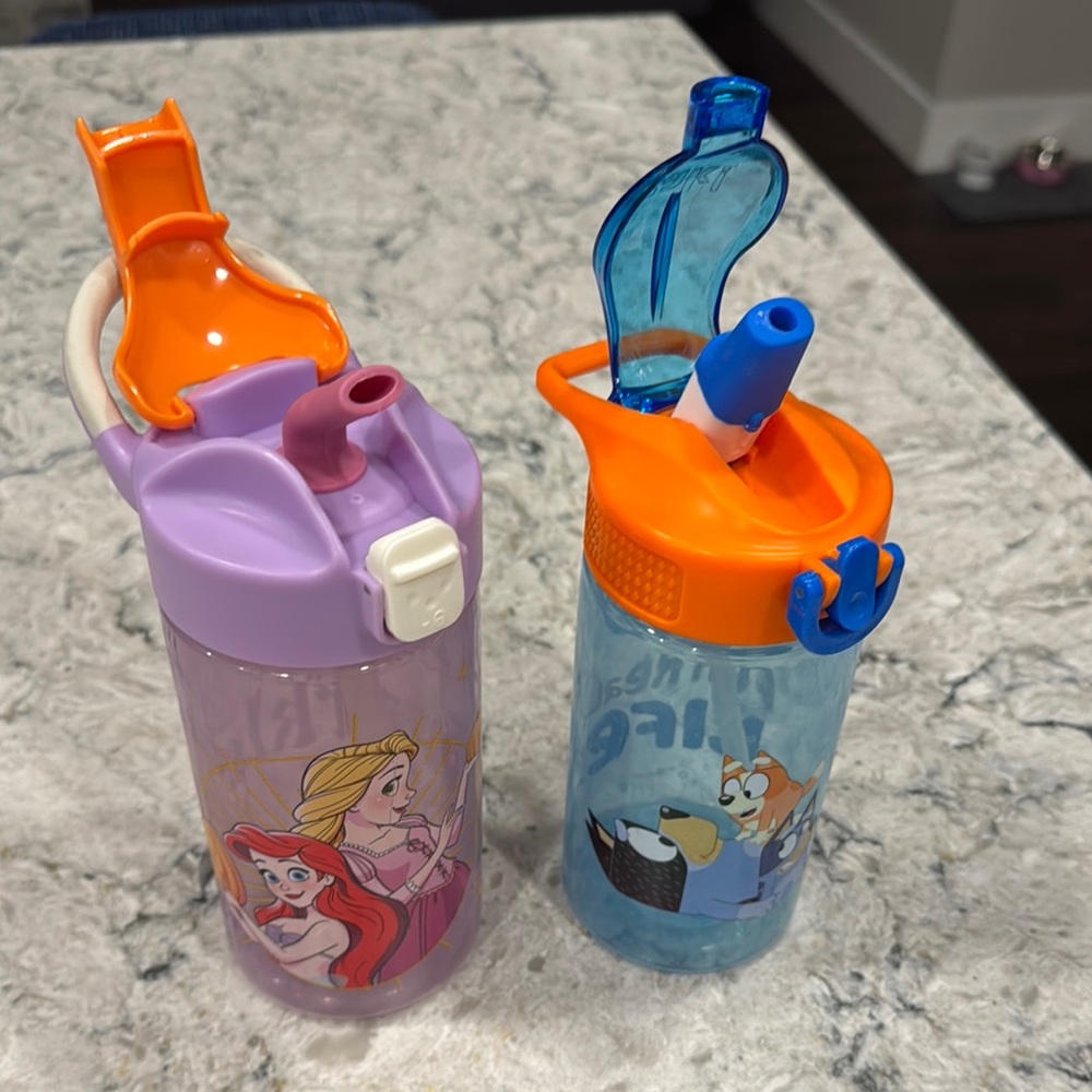 Disney Princess and Blue Animal Kids Water Bottles